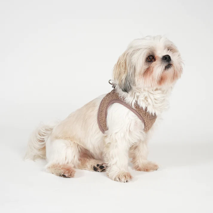 Step-In Dog Harness Teddy | Mocca