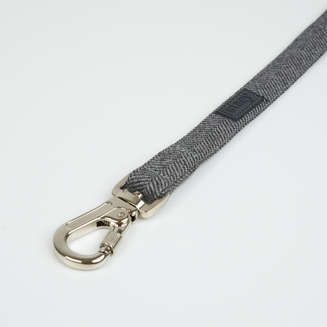 Dog Leash Elma | Dusty Blue