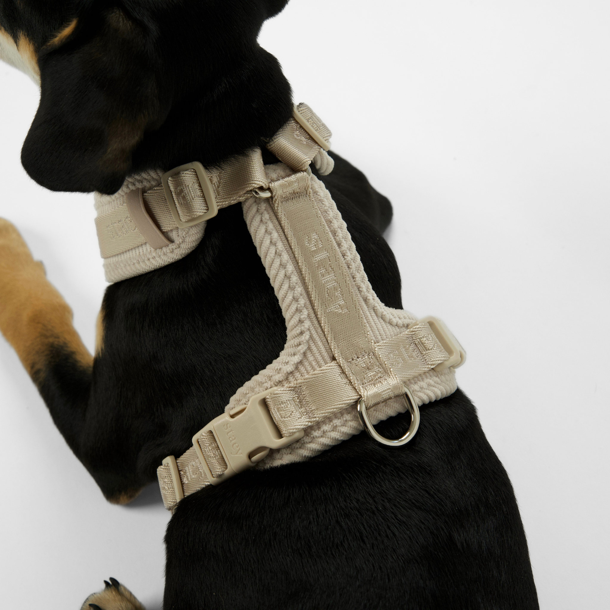 Numa Dog Harness | Oat