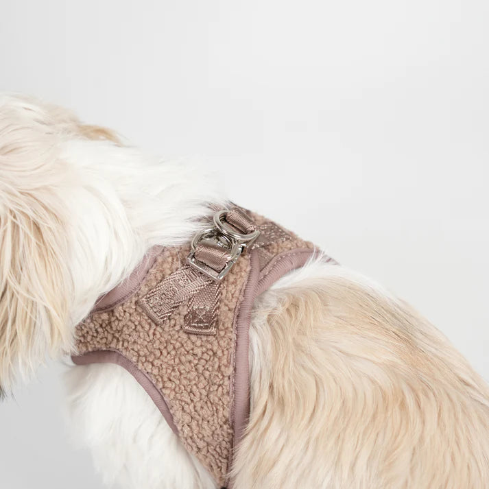 Step-In Dog Harness Teddy | Mocca