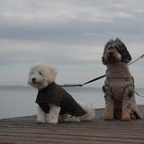 Nora Hundemantel | Espresso