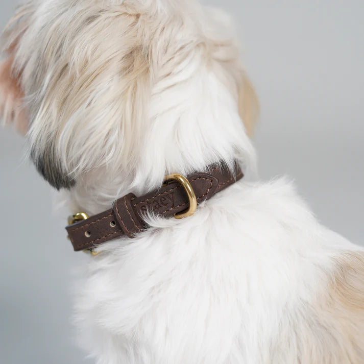 Leather Dog Collar Grace | Espresso