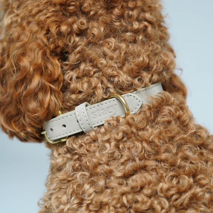 Leather Dog Collar Grace | Nature