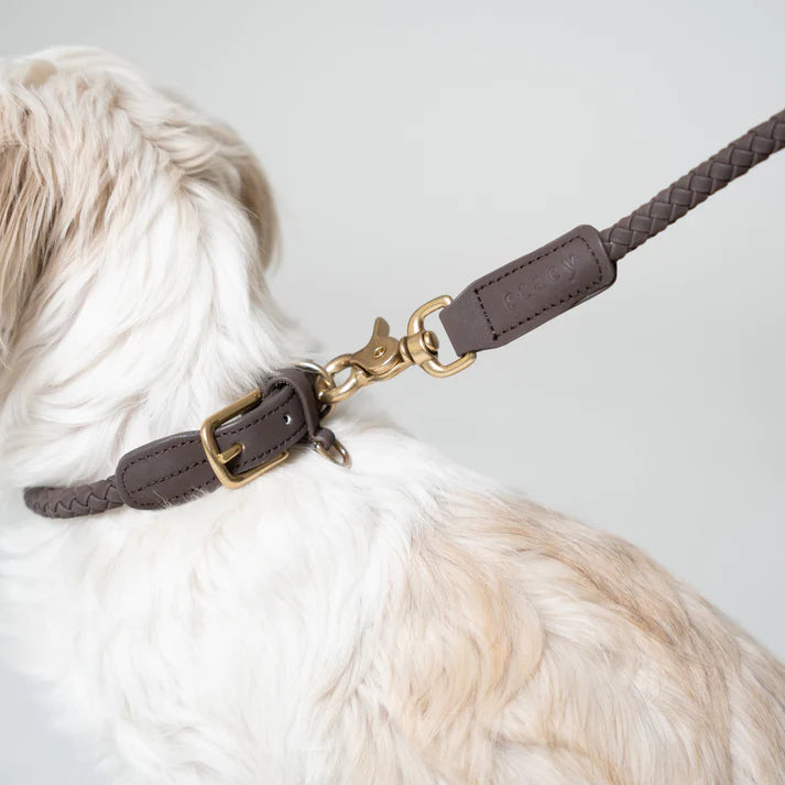 Braided Dog Leash Kaia | Espresso