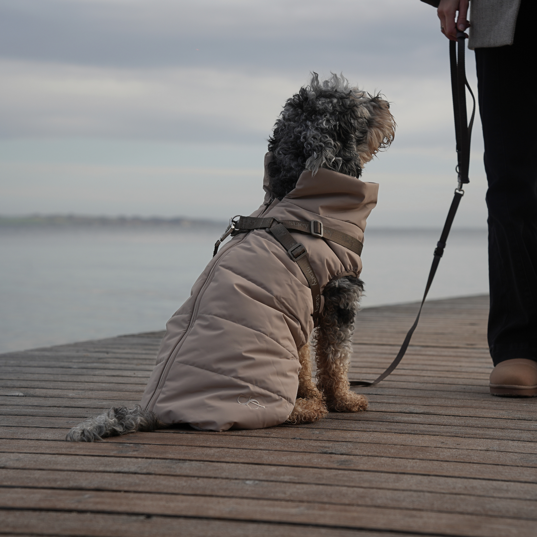 Vera Dog Coat w. Harness | Sand