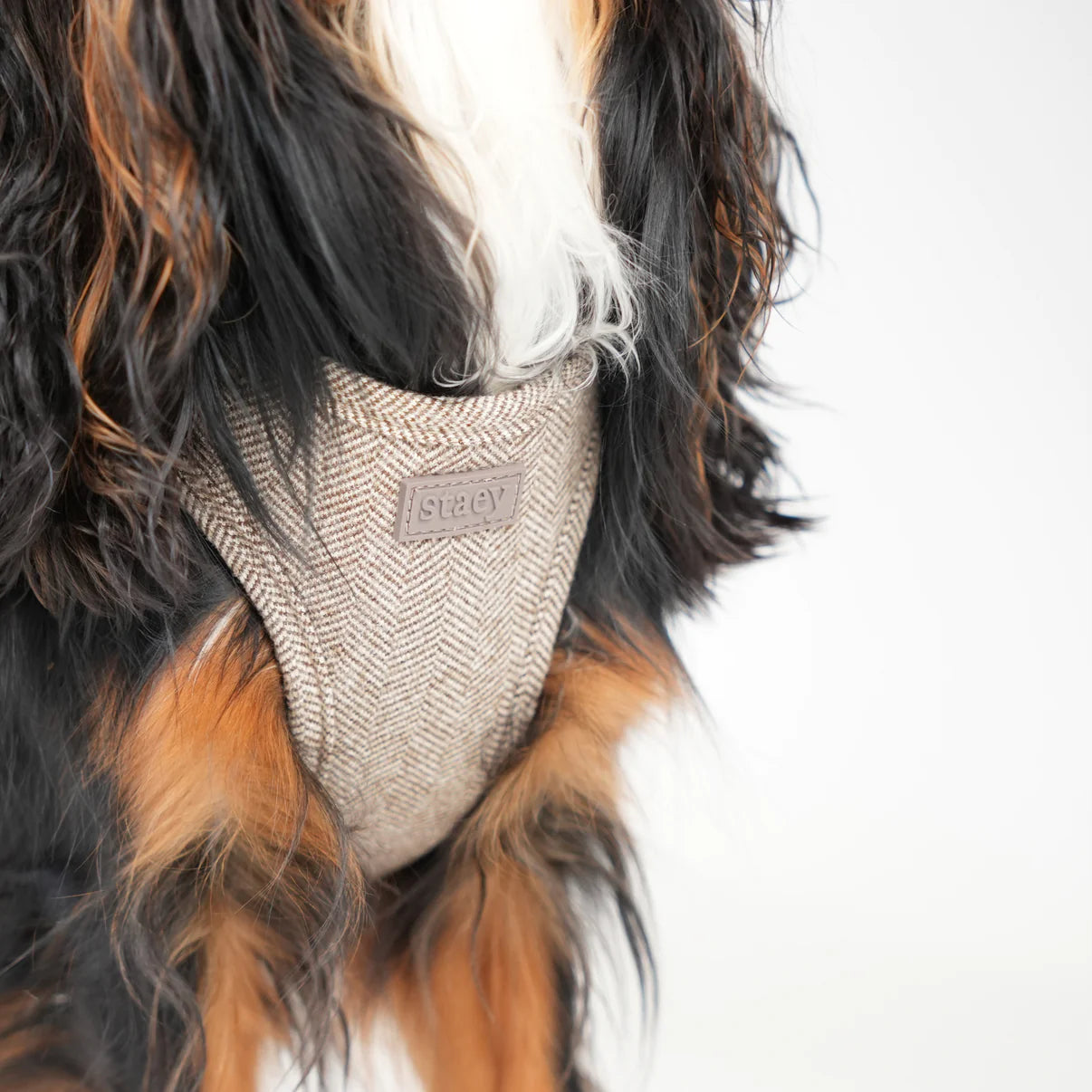 Step-In Dog Harness Saga | Mocca