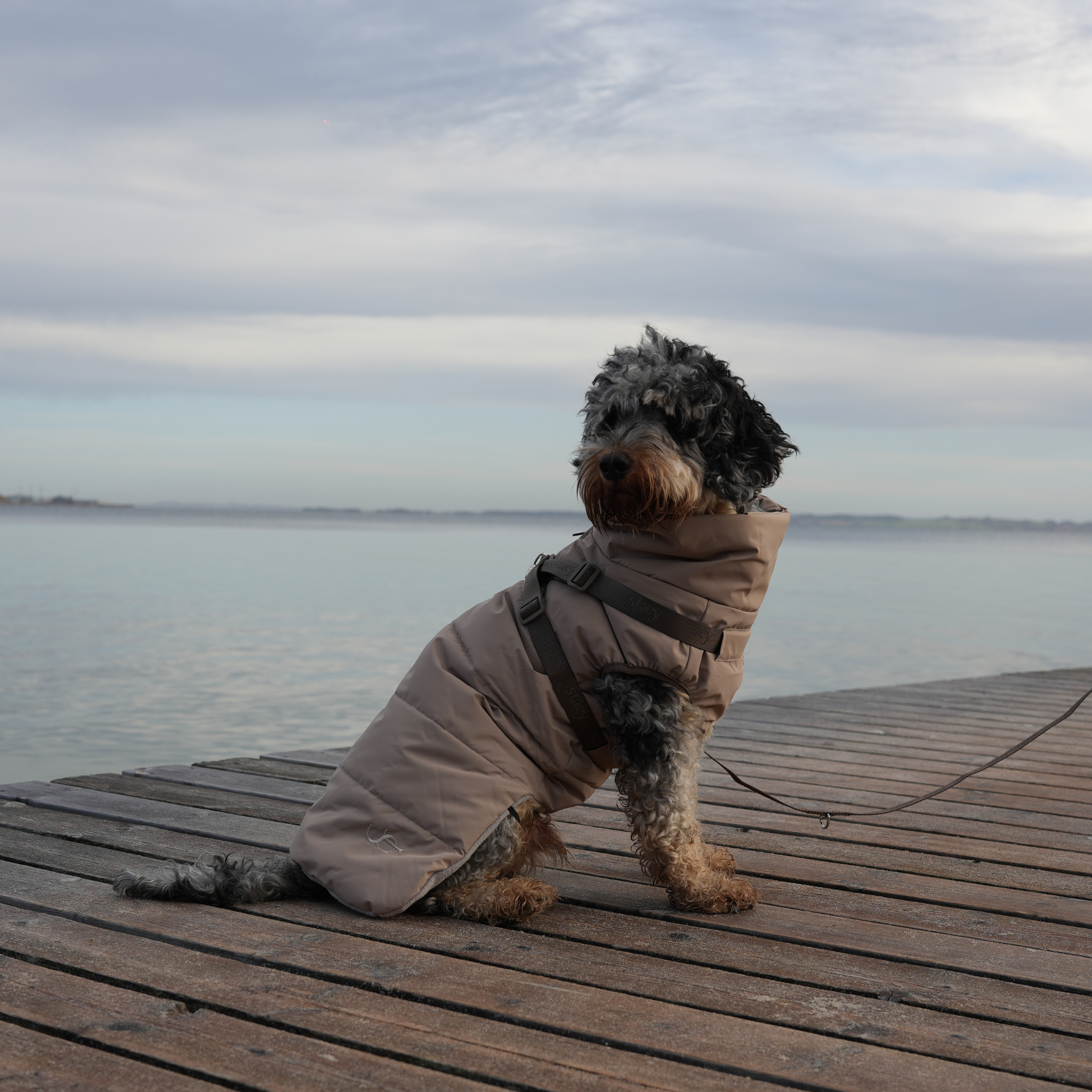 Vera Dog Coat w. Harness | Sand