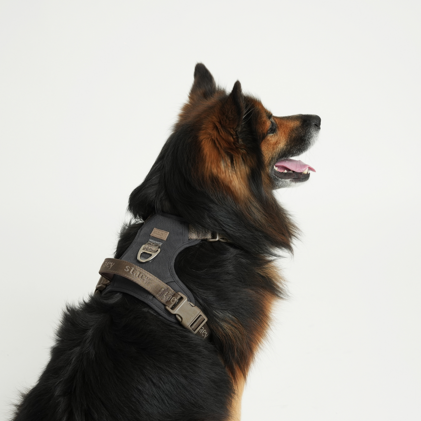 Elma Active Hundegeschirr | Storm