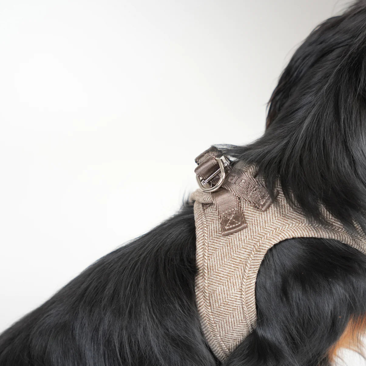 Step-In Dog Harness Saga | Mocca