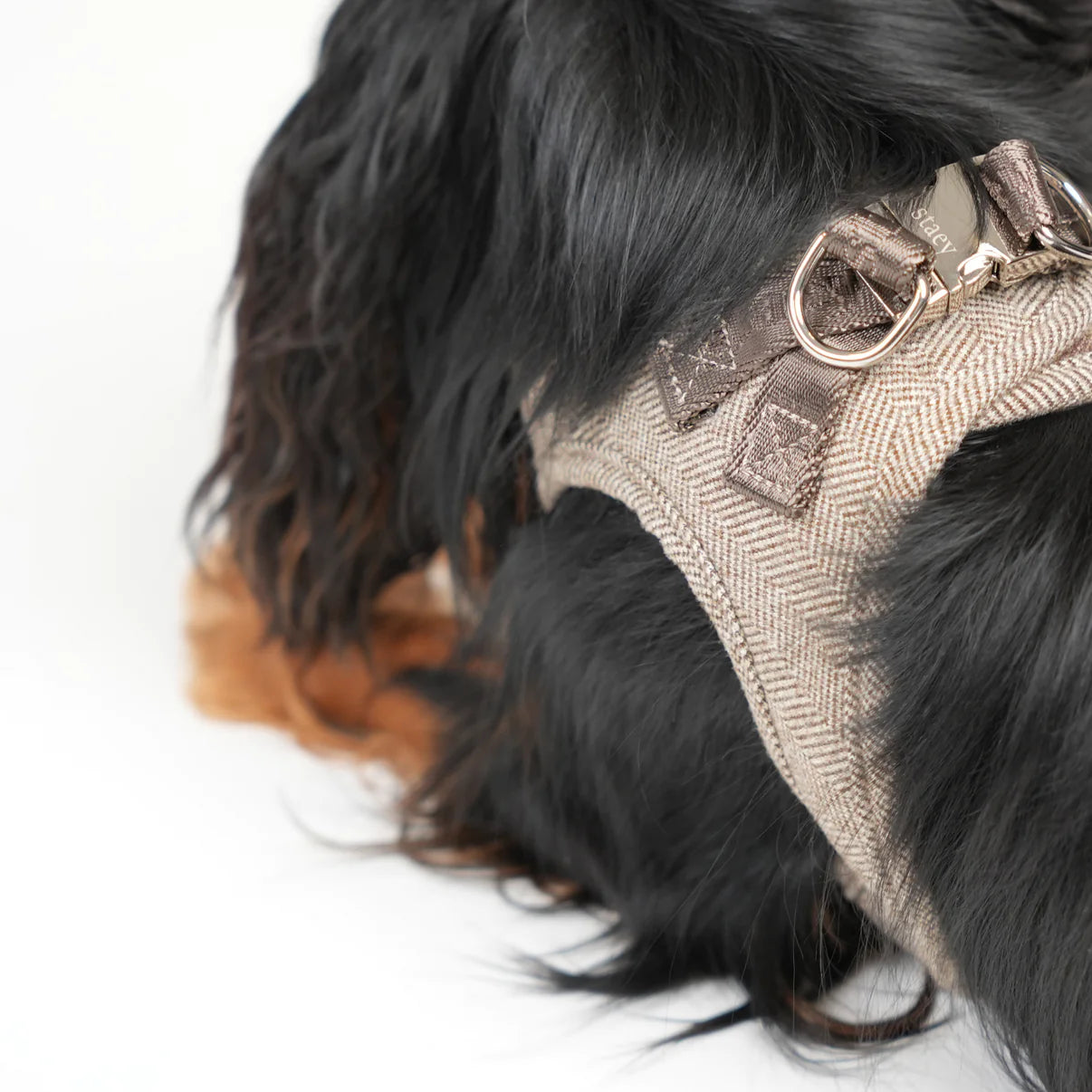 Step-In Dog Harness Saga | Mocca