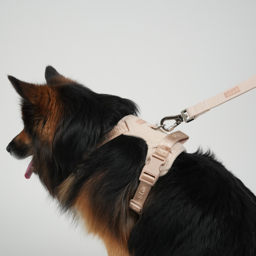 Dog Leash Elma | Light Rose