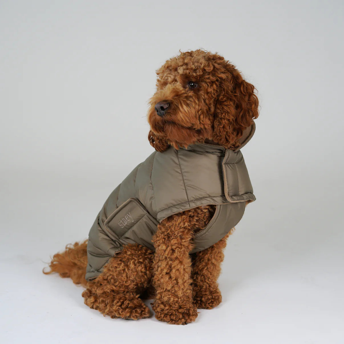 Dog Coat Nora | Taupe