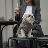 Vera Dog Coat w. Harness | Sage