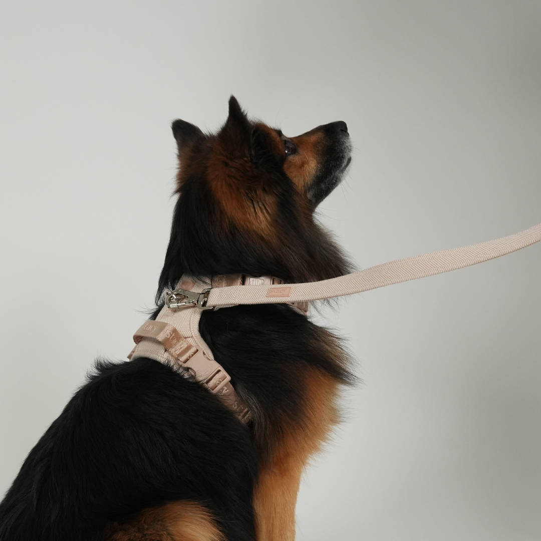 Dog Leash Elma | Light Rose