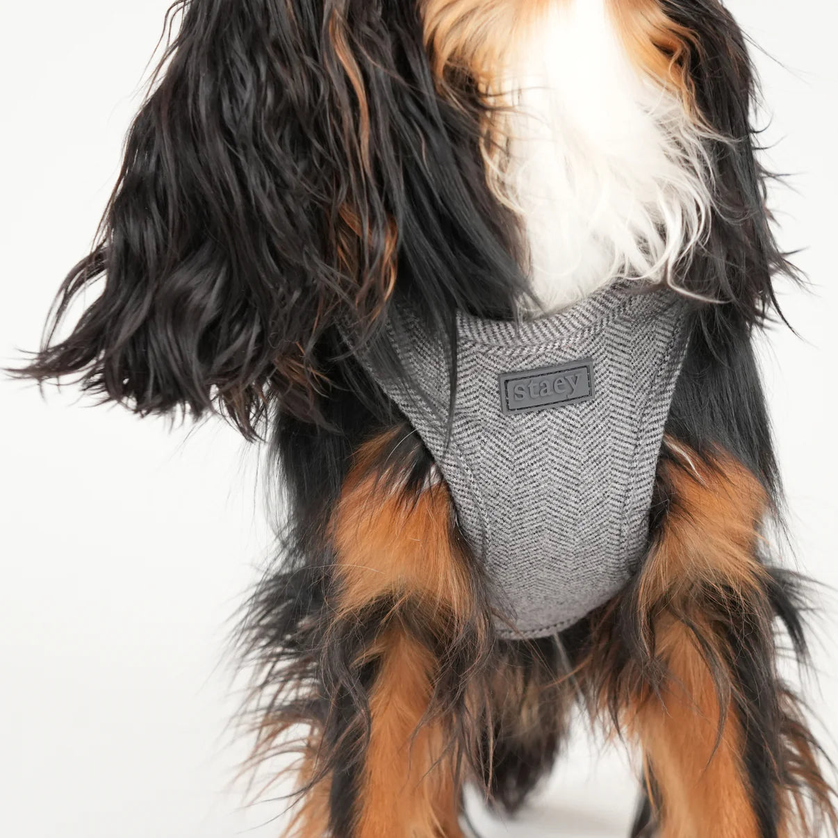 Step-In Dog Harness Saga | Dusty Blue