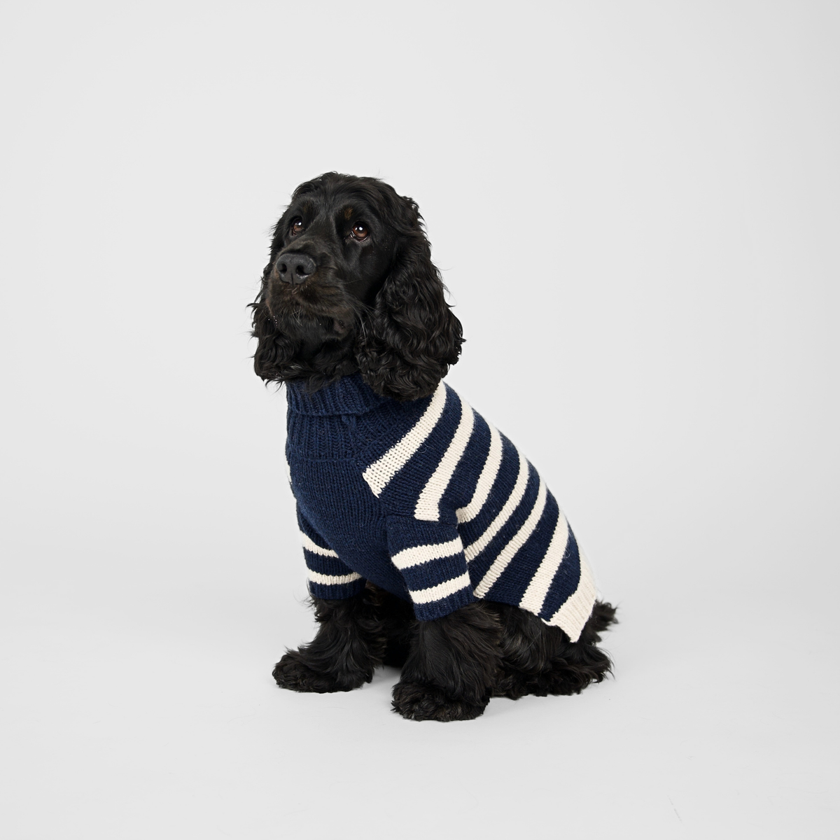 Liva Hundepullover | Midnight/Oat