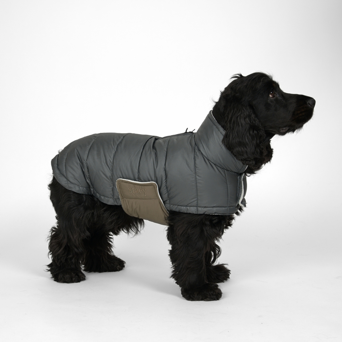 Nora Hundemantel | Storm