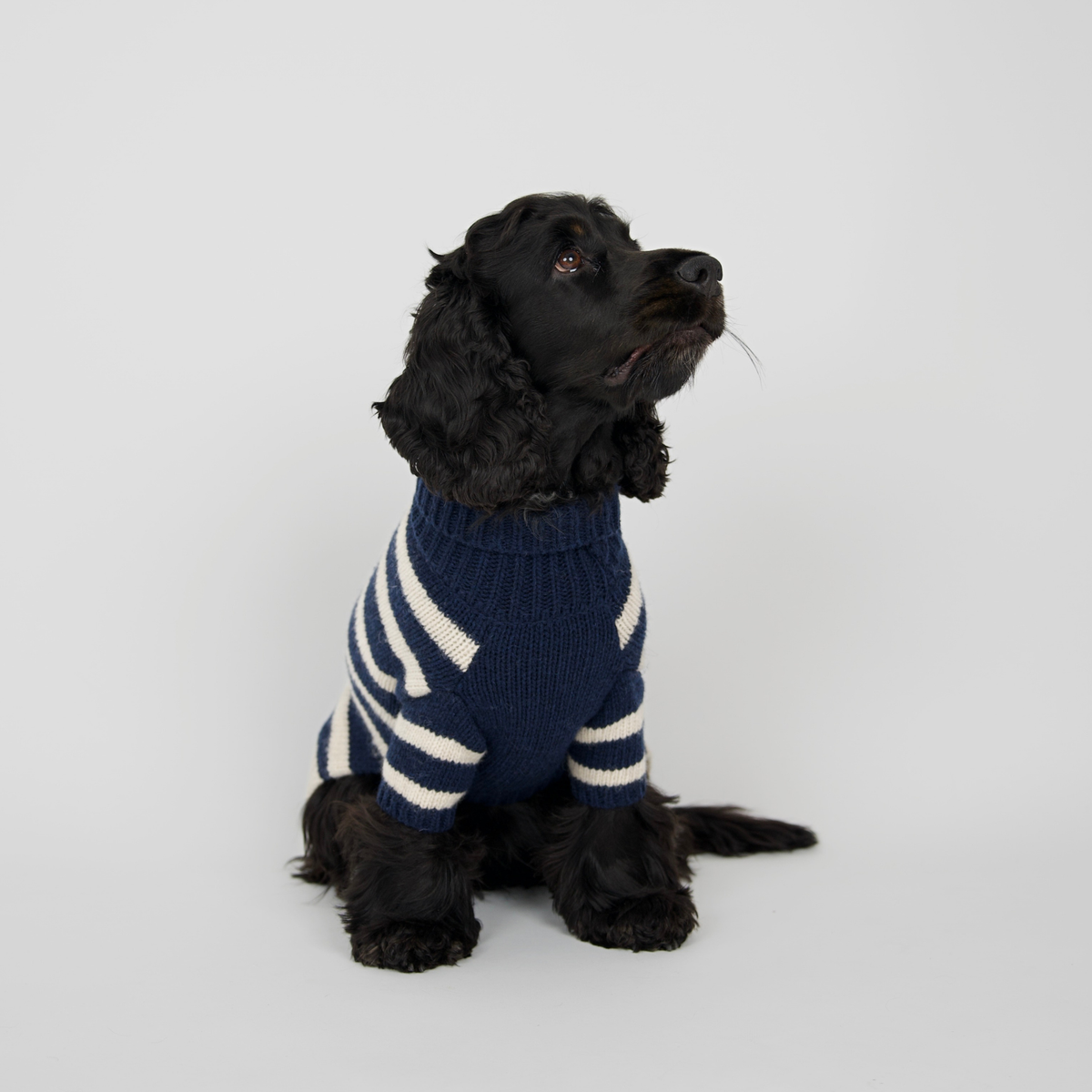 Liva Hundepullover | Midnight/Oat