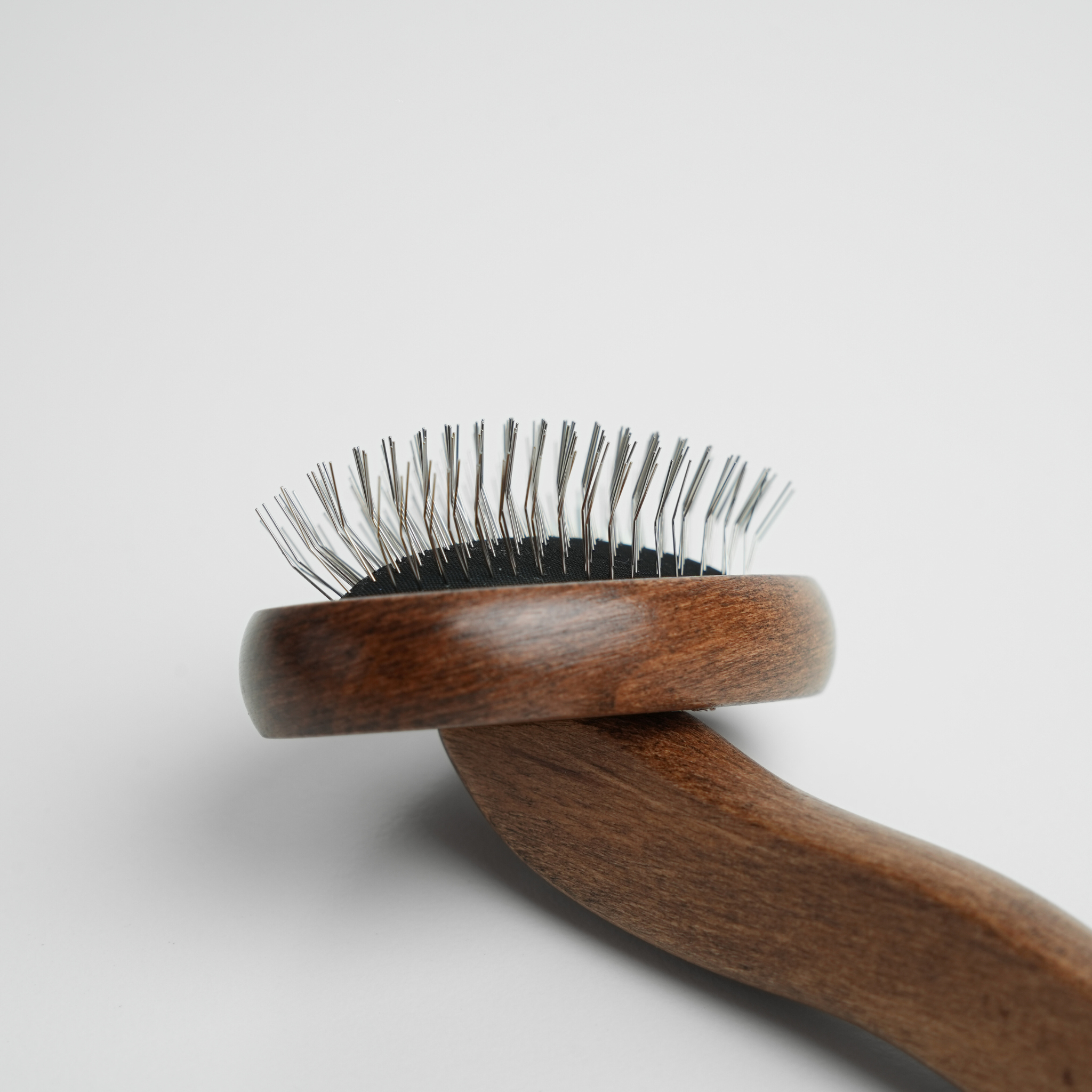 PurePaw All-round Brush