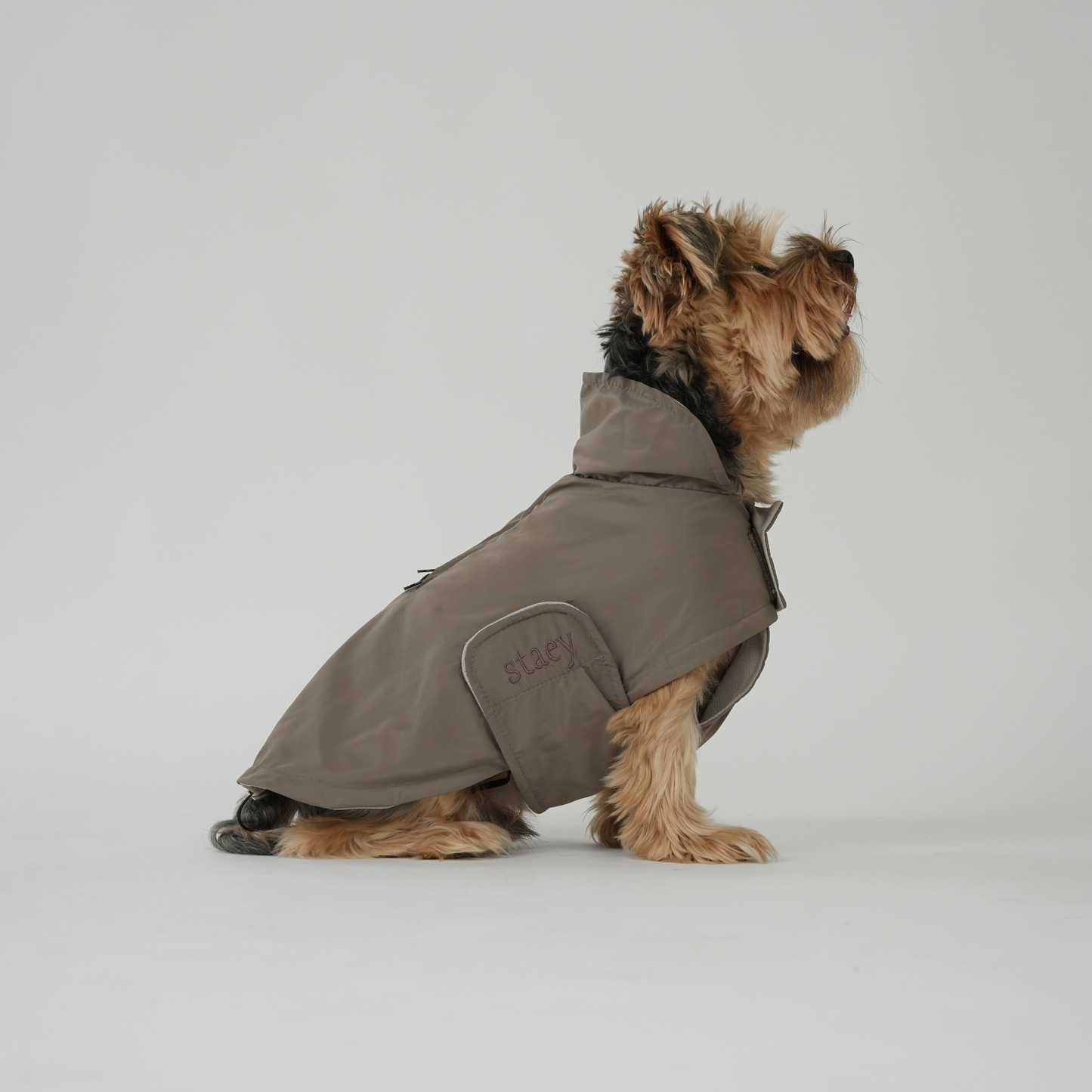 Dog Raincoat Vega | Taupe