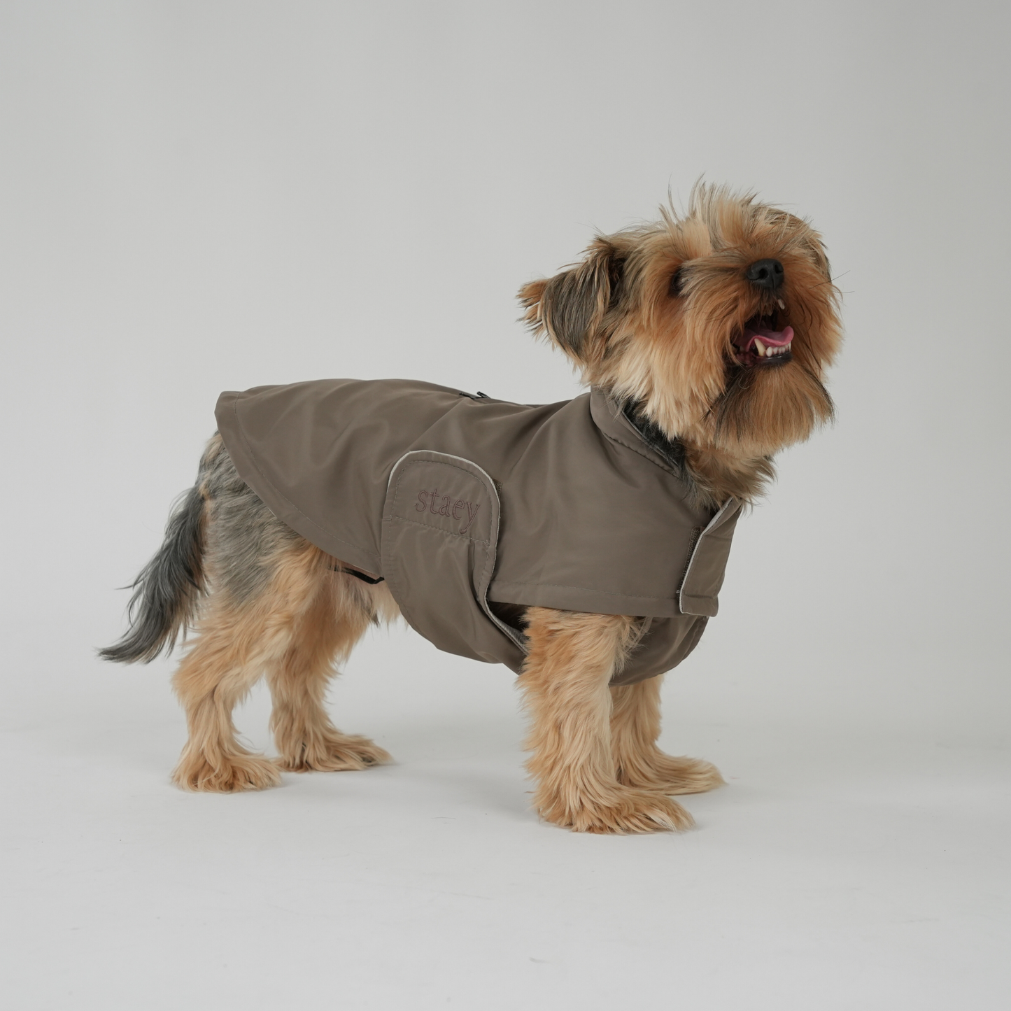 Dog Raincoat Vega | Taupe