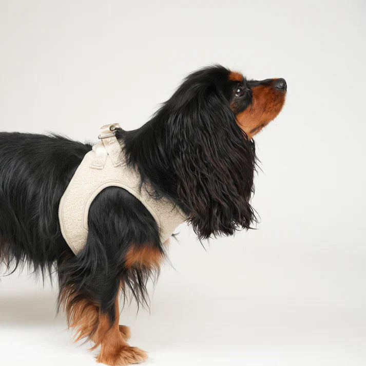 Step-In Dog Harness Teddy | Nature