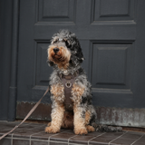 Elma Active Dog Harness | Taupe