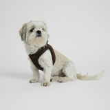 Step-In Dog Harness Teddy | Espresso