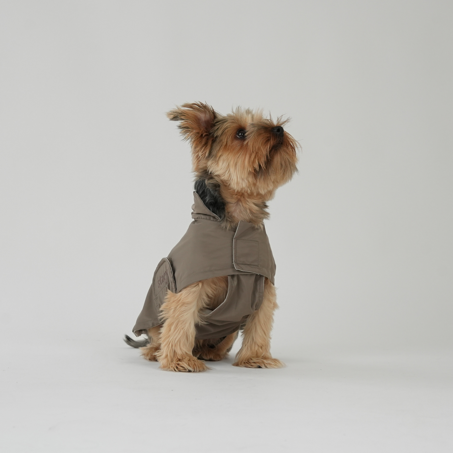 Dog Raincoat Vega | Taupe