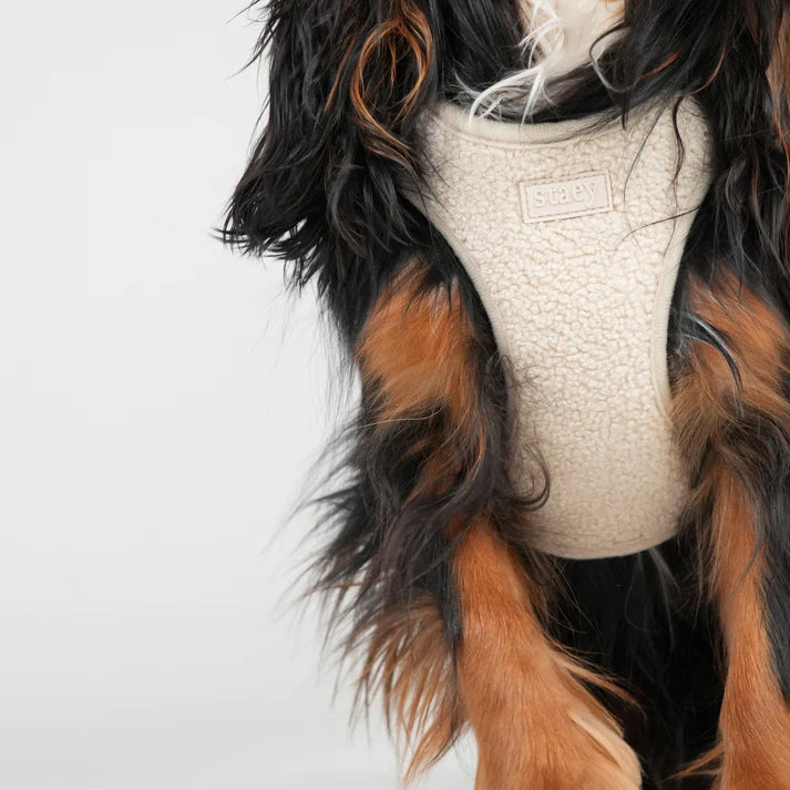 Step-In Dog Harness Teddy | Nature