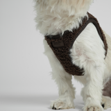 Step-In Dog Harness Teddy | Espresso