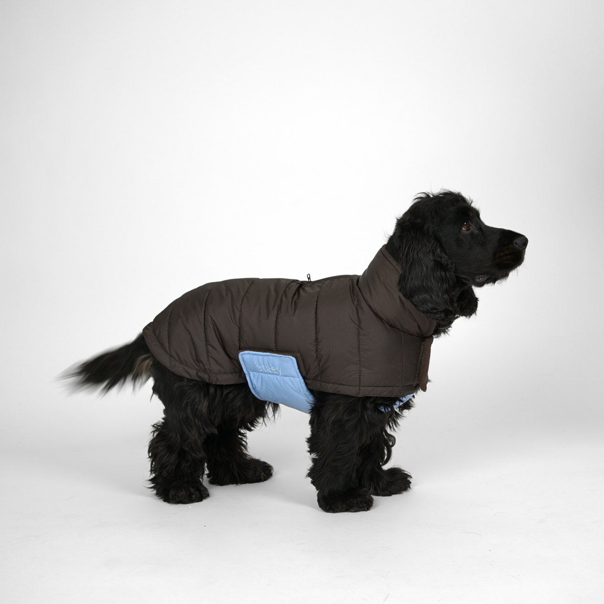 Nora Hundemantel | Espresso/Sky Blue