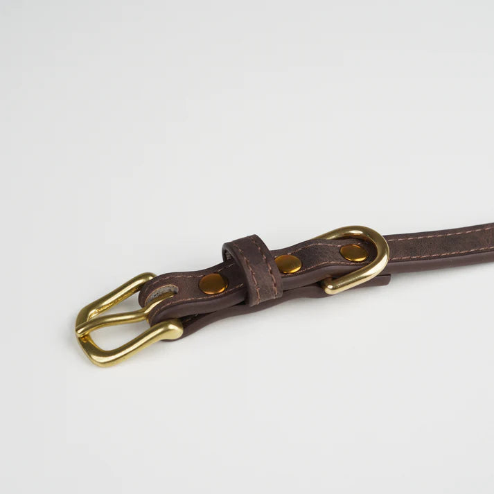 Leather Dog Collar Grace | Espresso