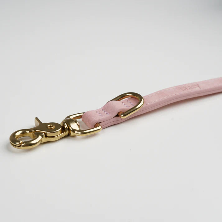 Leather Dog Leash Grace | Dusty Rose