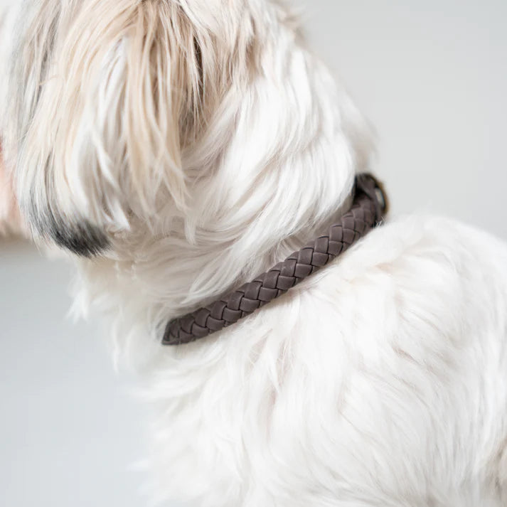 Braided Dog Collar Kaia | Espresso