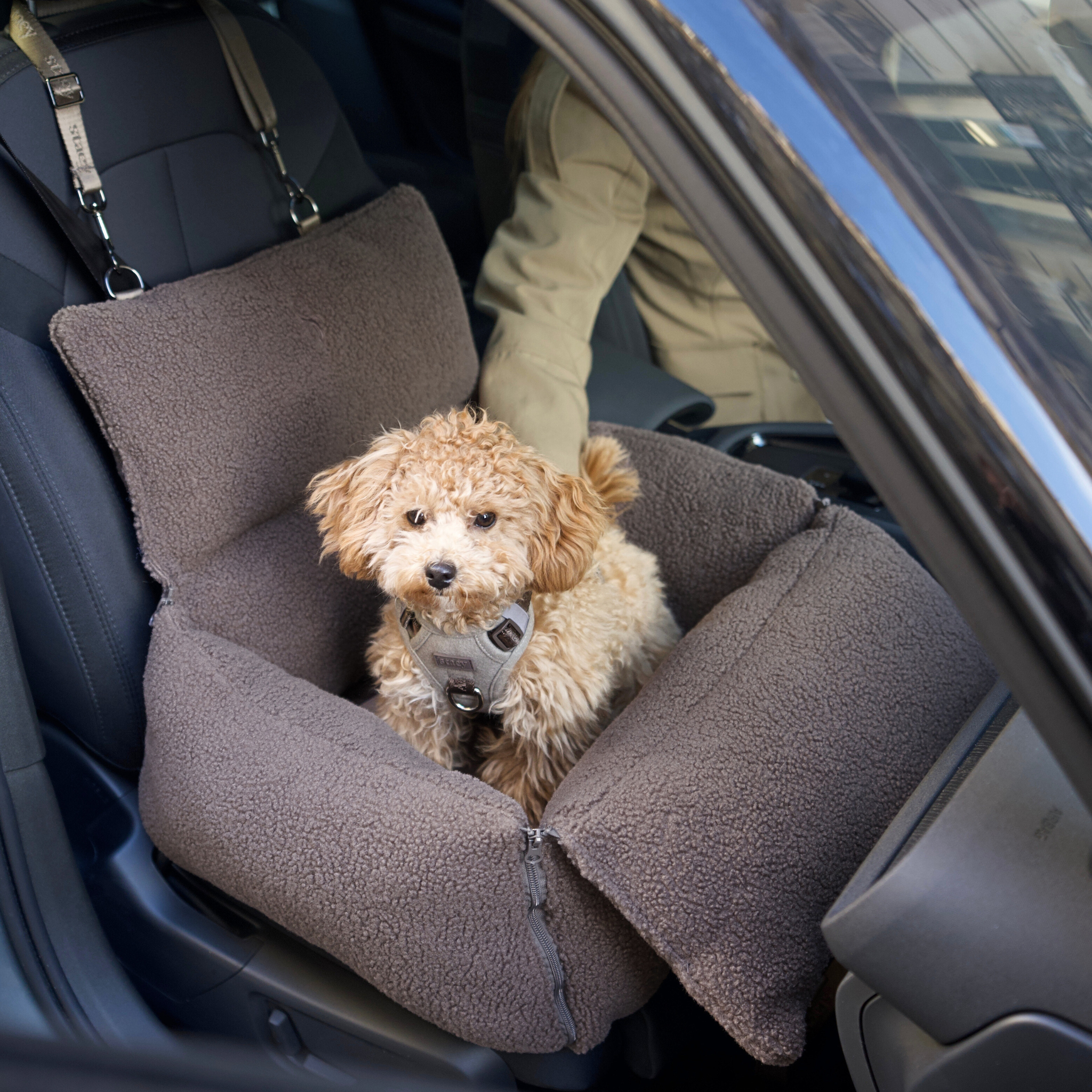 Clara 3-in-1-Hundeautositz | Limited Edition