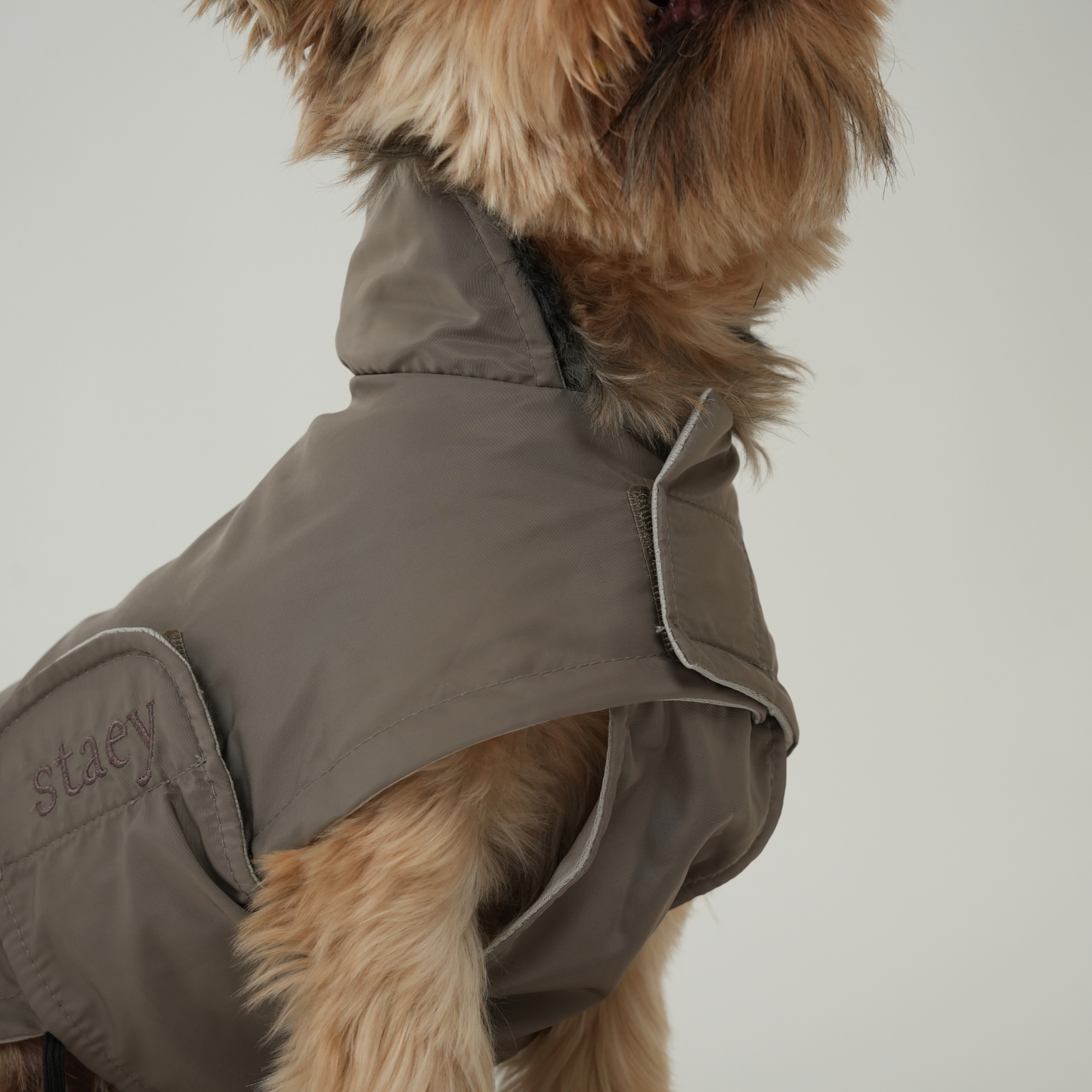 Dog Raincoat Vega | Taupe