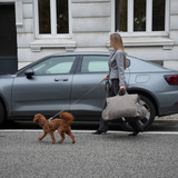 Lara Autositz | Taupe 2.0