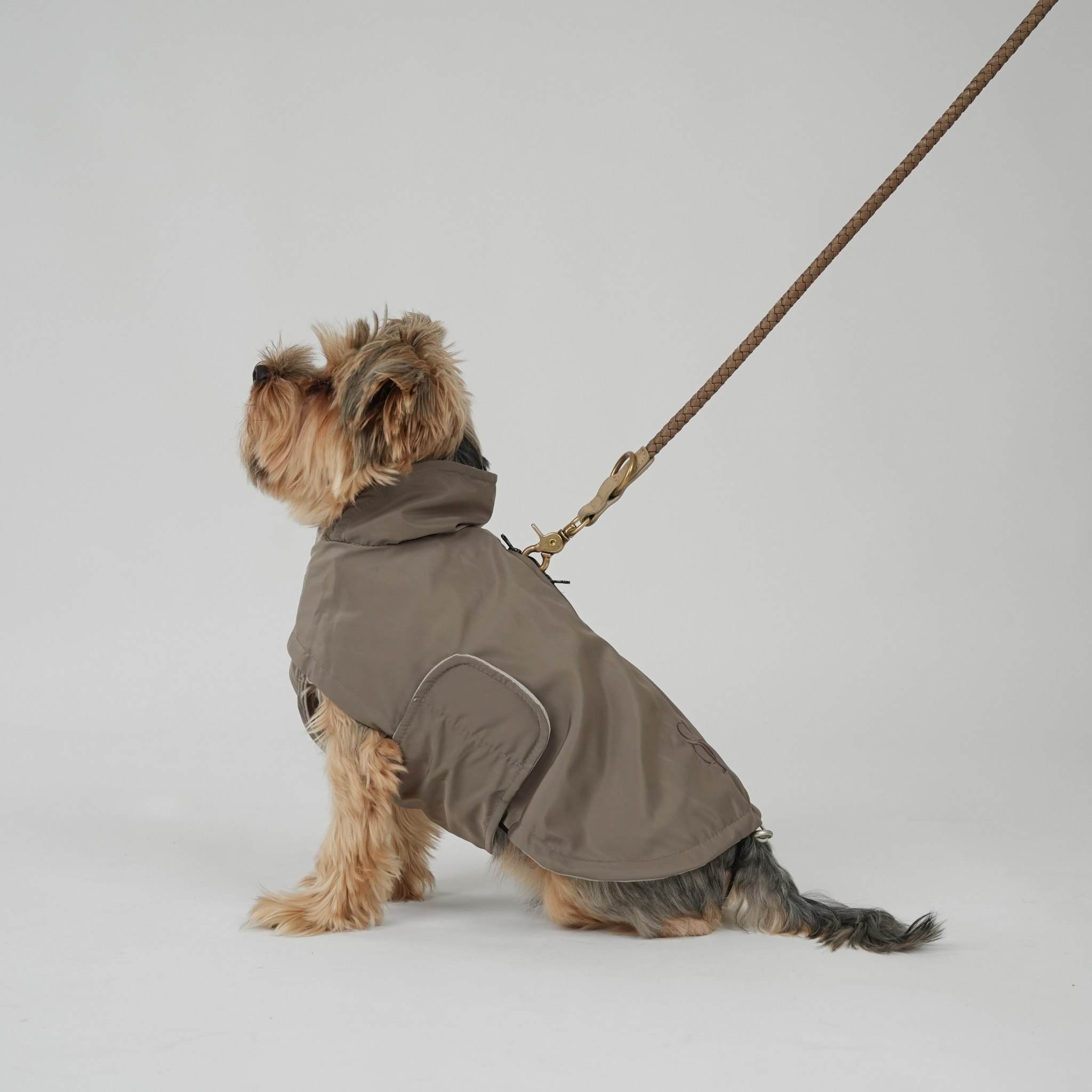 Vega Dog Raincoat | Taupe