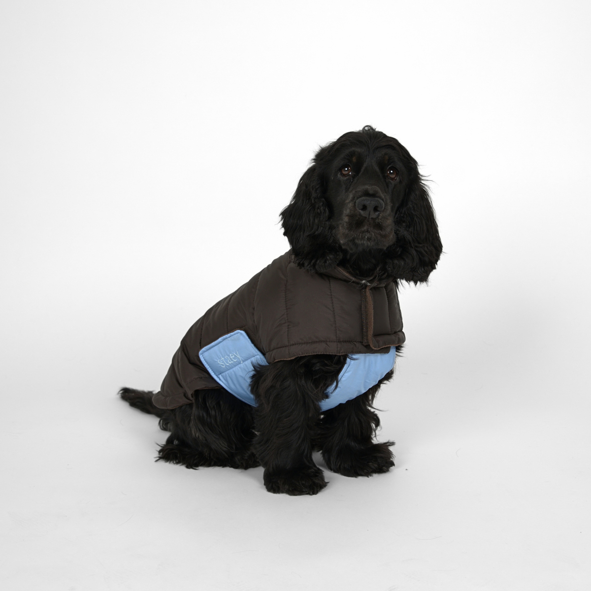 Nora Hundemantel | Espresso/Sky Blue