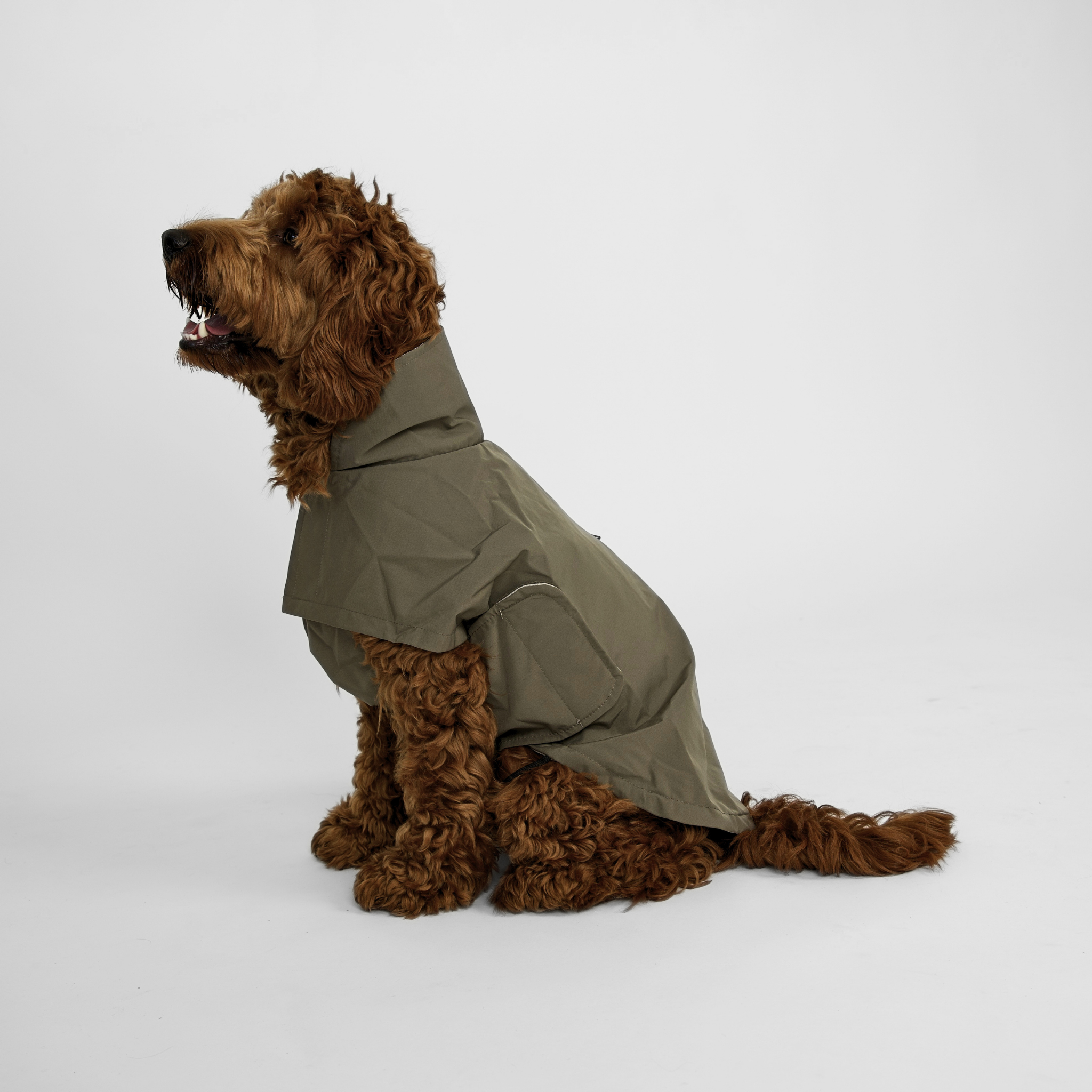 Taja Dog Rain Coat | Moss Green