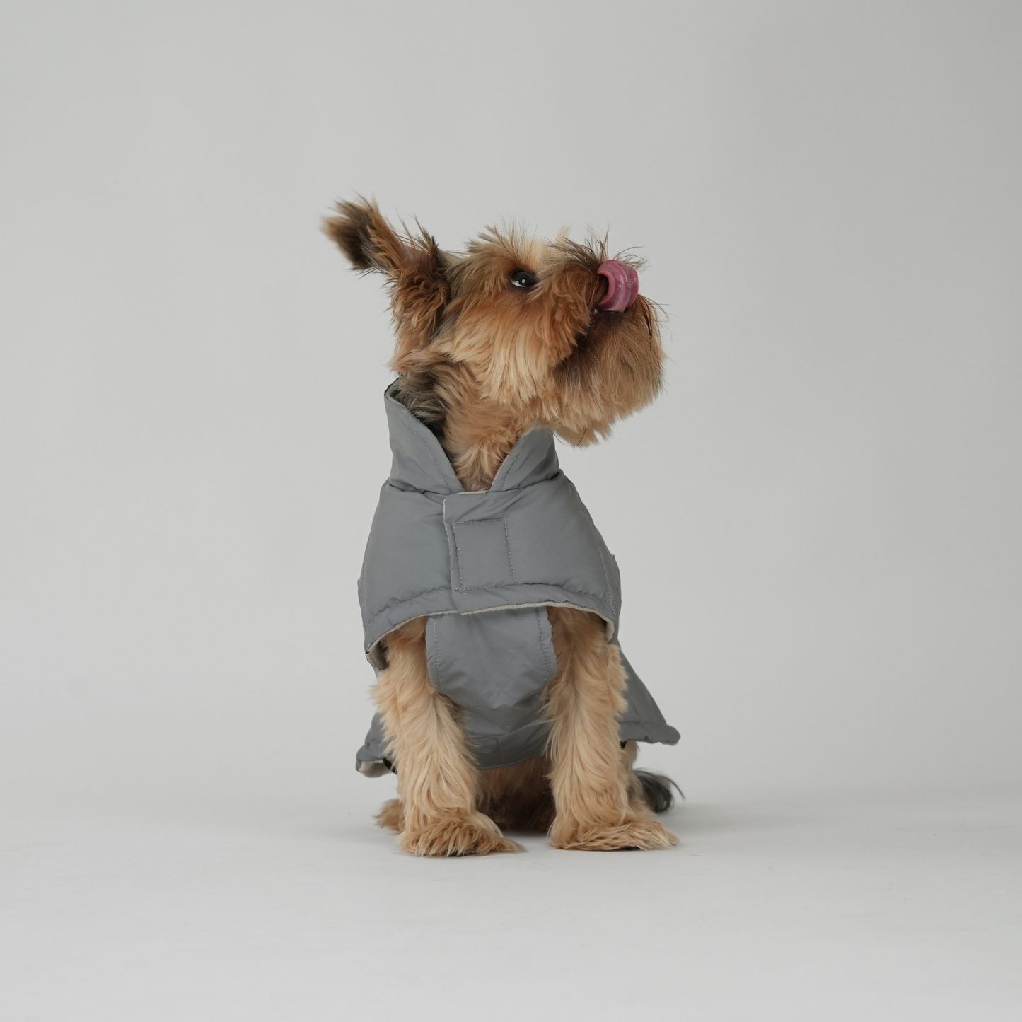 Dog Coat Nora | Reflective