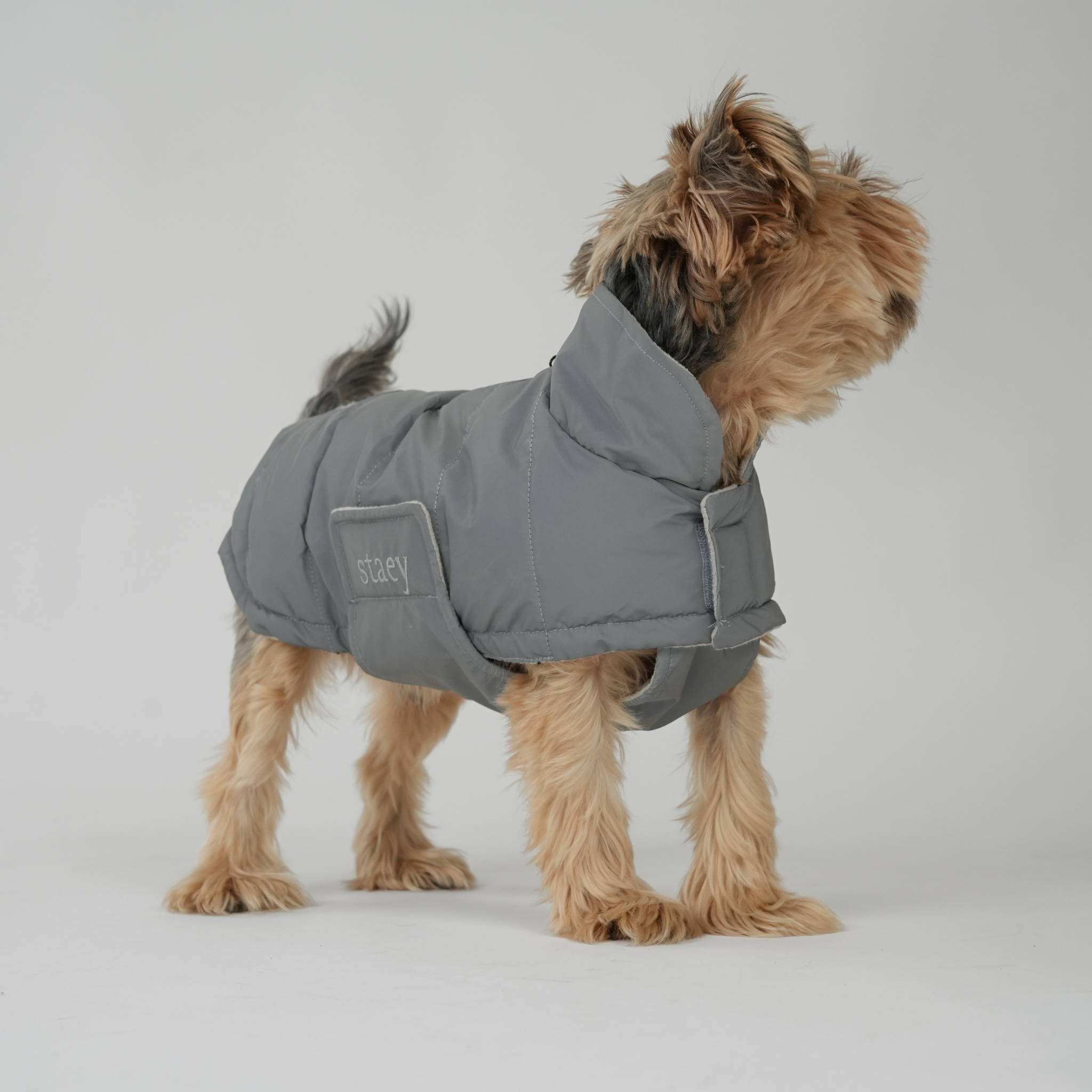 Nora Dog Coat | Reflective
