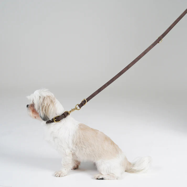 Leather Dog Leash Grace | Espresso