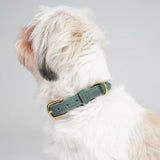 Leder Hundehalsband Grace | Moosgrün