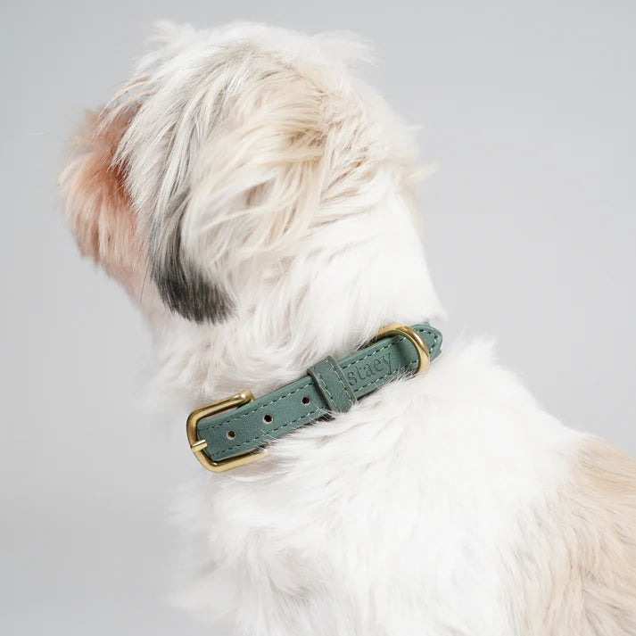 Leather Dog Collar Grace | Moss Green