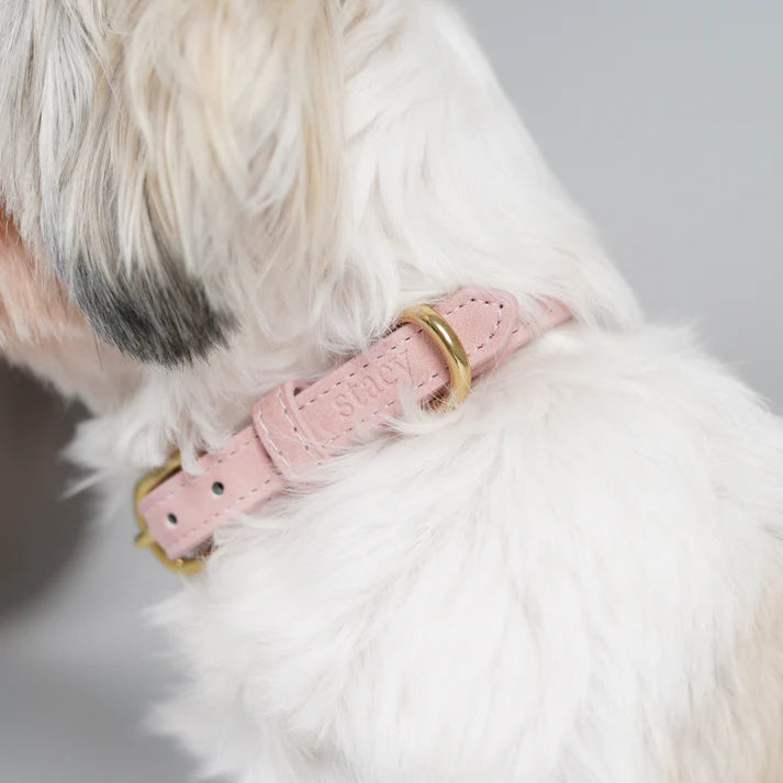 Leather Dog Collar Grace | Dusty Rose