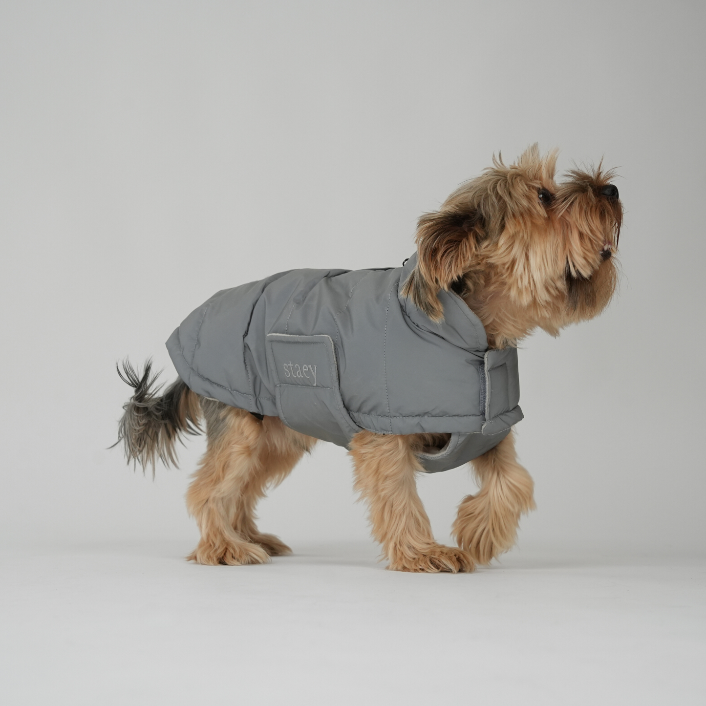 Dog Coat Nora | Reflective