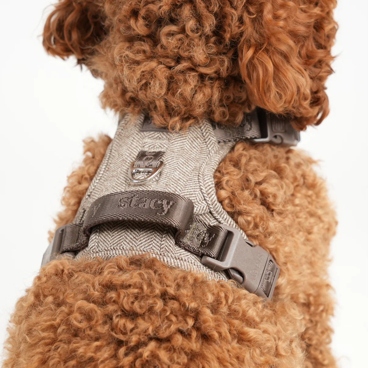 Dog Harness Elma | Mocca