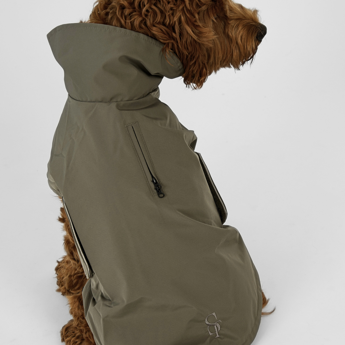 Cavapoo von hinten gesehen im moss green Taja-Regenmantel